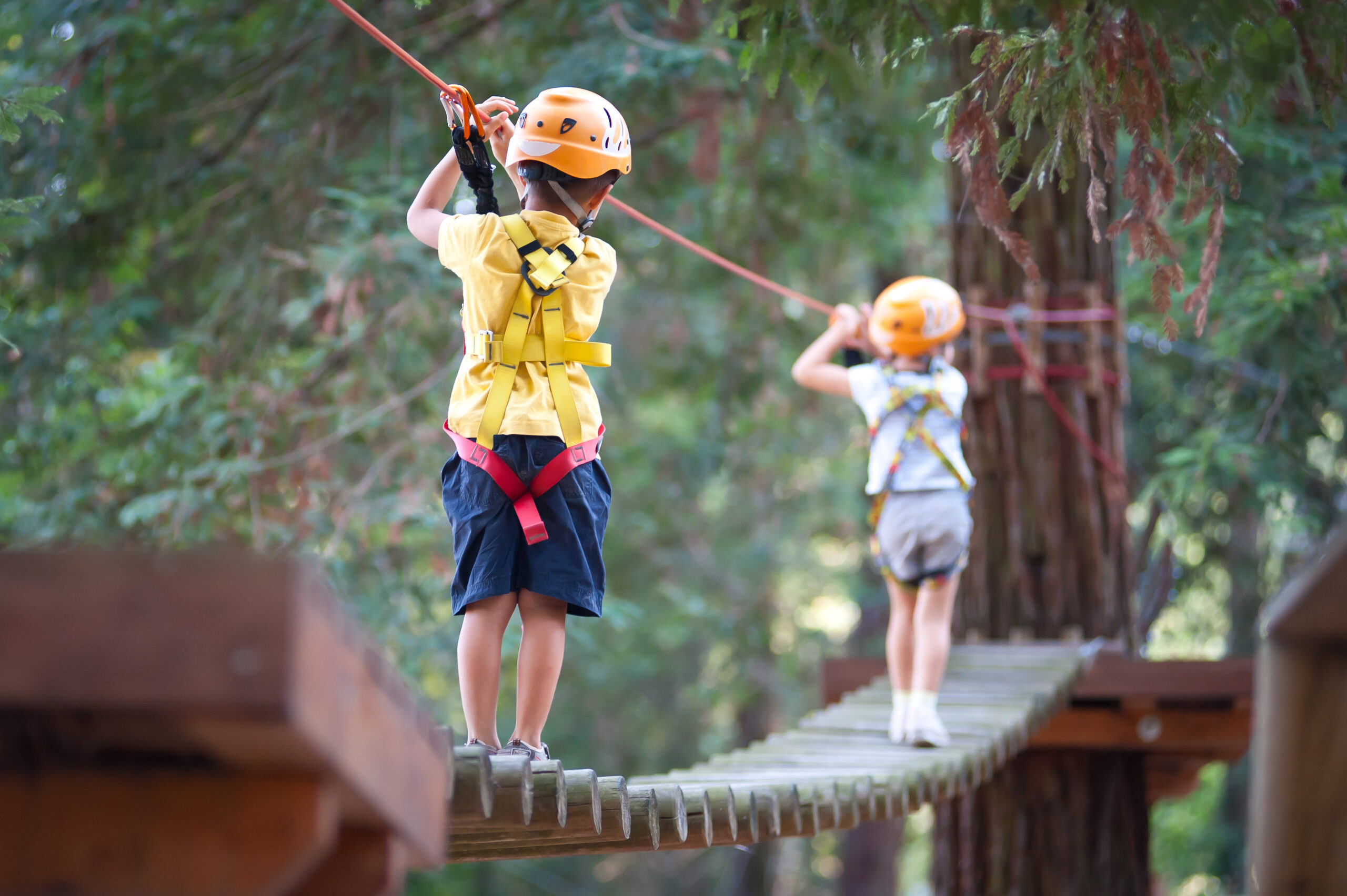 6,Year,Old,Kids,Climbing,Trees,In,Dolomites,,Italy.