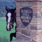 La Casella4