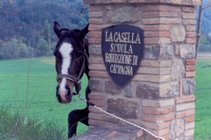 La Casella4