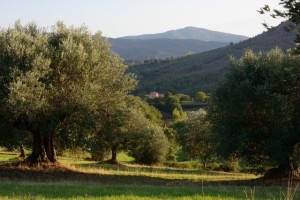 colle-san-paolo-umbria19