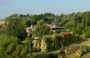 flocanda-rosati-_home_new