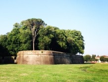 Biking the Lucca Walls