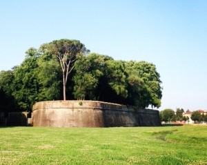 Biking the Lucca Walls