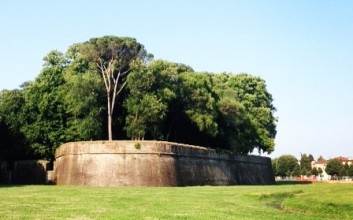 Biking the Lucca Walls