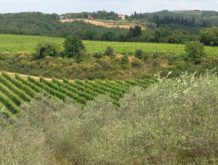 Monterrigioni